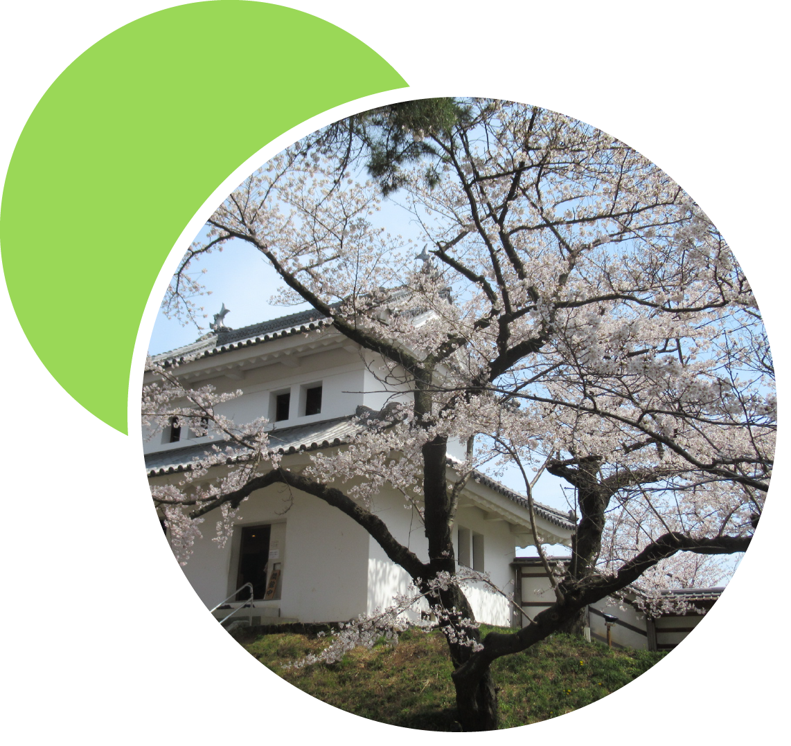 亀城公園